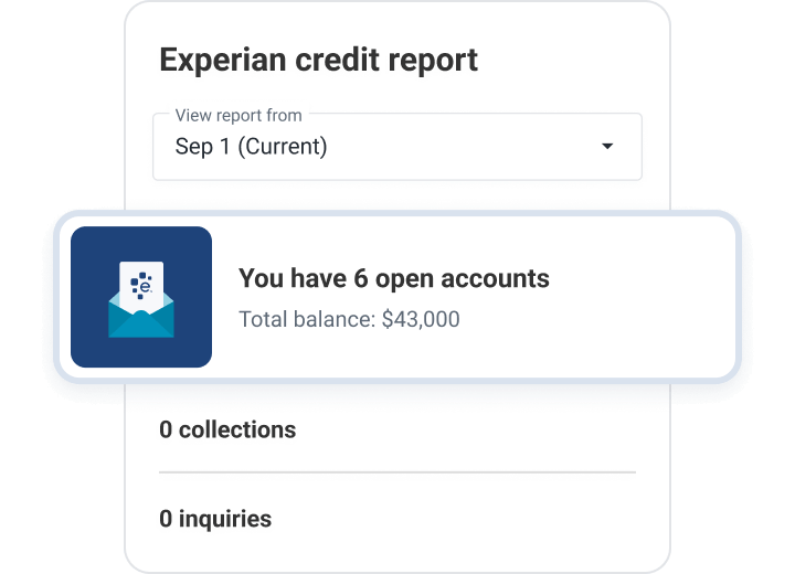 Phone with Experian credit report.